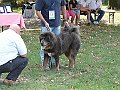 img 093